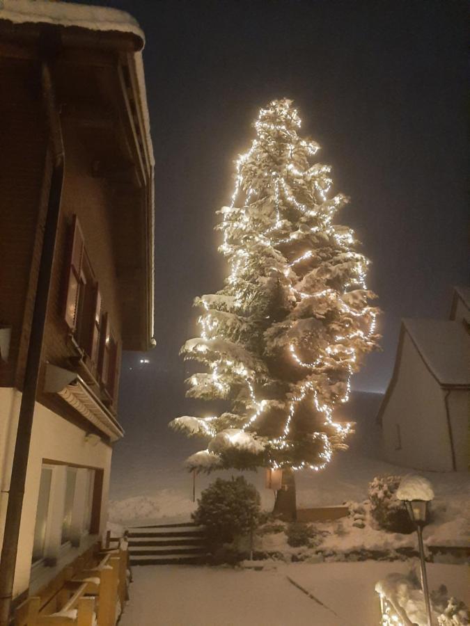 Gasthaus Schwand Hotel Engelberg Eksteriør billede